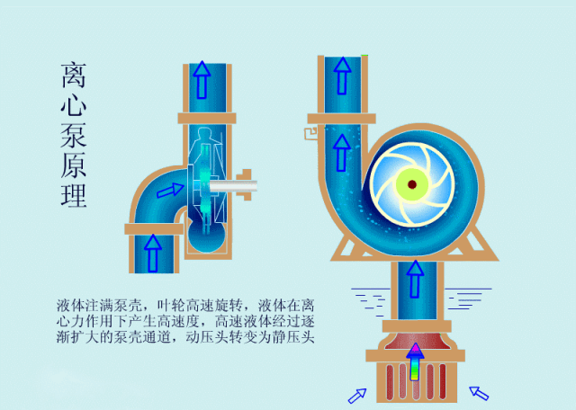 科普之離心泵啟動(dòng)時(shí)，出口閥門(mén)必須關(guān)閉嗎？(圖2)